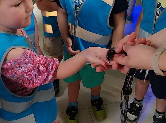 Gr. I   Wycieczka- Zoo Egzotyczne - Tuchlino