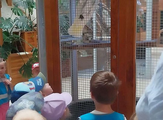 Gr. I   Wycieczka- Zoo Egzotyczne - Tuchlino