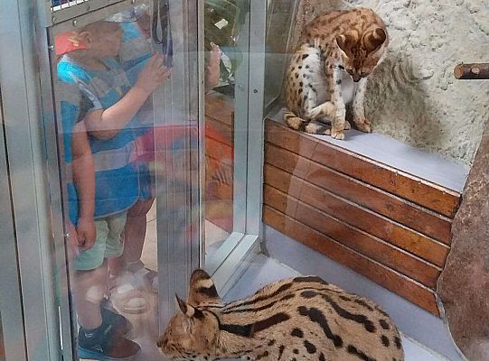 Gr. I   Wycieczka- Zoo Egzotyczne - Tuchlino