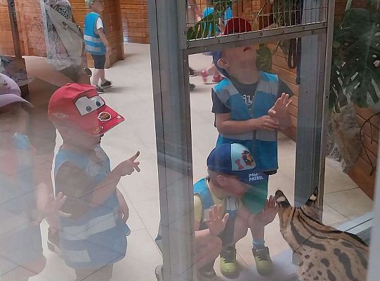 Gr. I   Wycieczka- Zoo Egzotyczne - Tuchlino