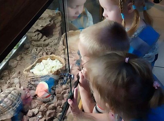 Gr. I   Wycieczka- Zoo Egzotyczne - Tuchlino