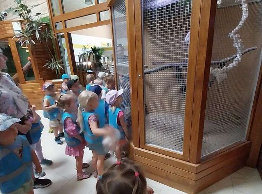 Gr. I   Wycieczka- Zoo Egzotyczne - Tuchlino