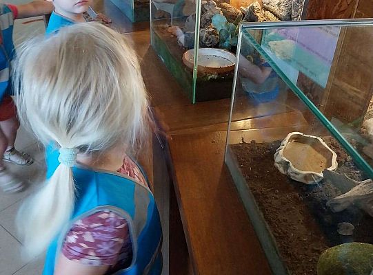 Gr. I   Wycieczka- Zoo Egzotyczne - Tuchlino