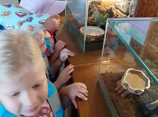 Gr. I   Wycieczka- Zoo Egzotyczne - Tuchlino