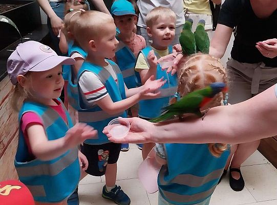 Gr. I   Wycieczka- Zoo Egzotyczne - Tuchlino