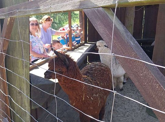 Gr. I   Wycieczka- Zoo Egzotyczne - Tuchlino