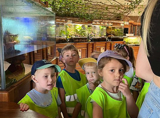 Gr. II Wycieczka- Zoo Egzotyczne -Tuchlino