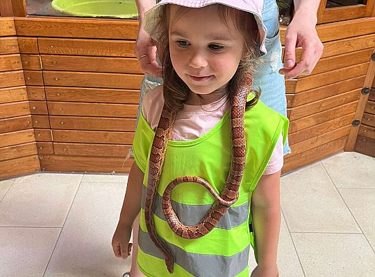 Gr. II Wycieczka- Zoo Egzotyczne -Tuchlino