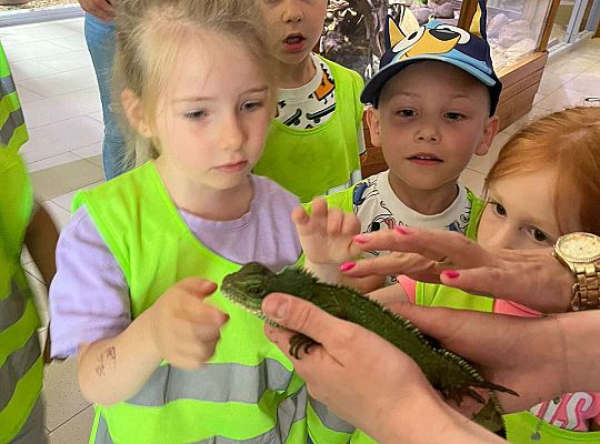 Gr. II Wycieczka- Zoo Egzotyczne -Tuchlino