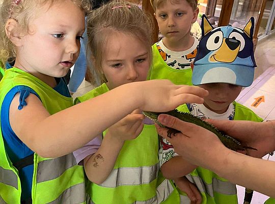 Gr. II Wycieczka- Zoo Egzotyczne -Tuchlino