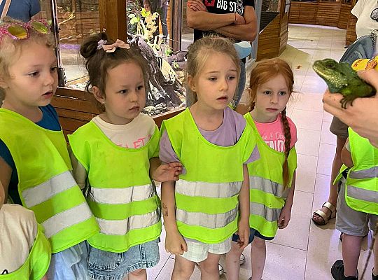 Gr. II Wycieczka- Zoo Egzotyczne -Tuchlino