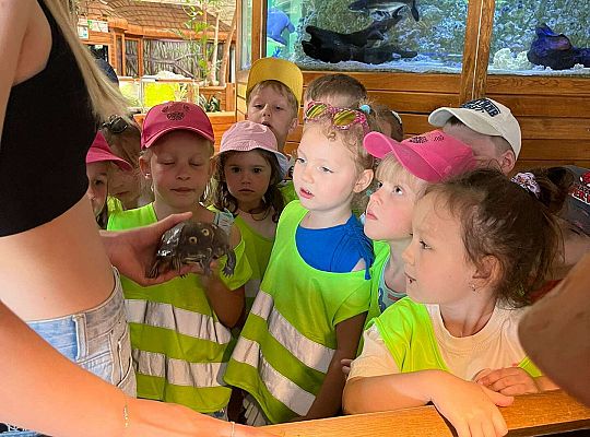 Gr. II Wycieczka- Zoo Egzotyczne -Tuchlino