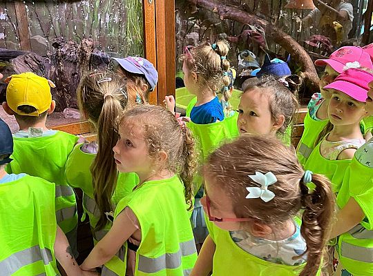 Gr. II Wycieczka- Zoo Egzotyczne -Tuchlino