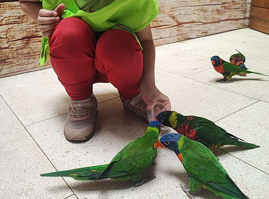 Gr. II Wycieczka- Zoo Egzotyczne -Tuchlino