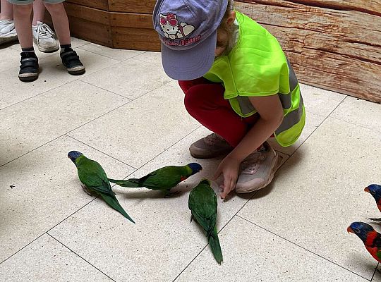 Gr. II Wycieczka- Zoo Egzotyczne -Tuchlino