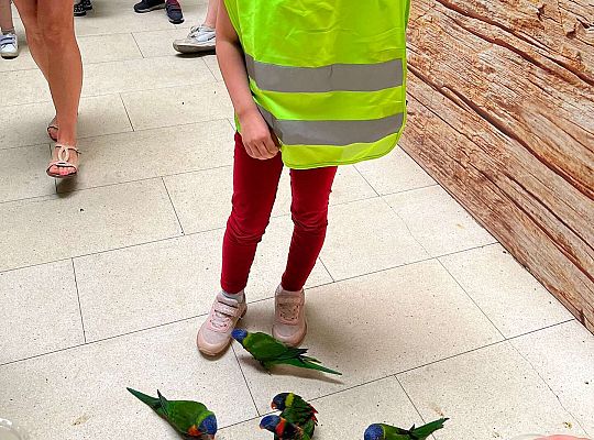 Gr. II Wycieczka- Zoo Egzotyczne -Tuchlino