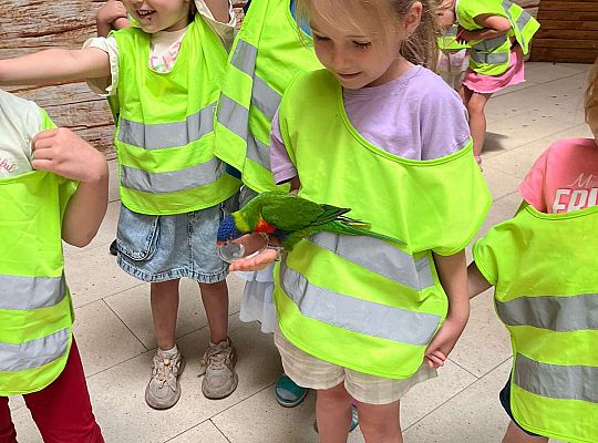 Gr. II Wycieczka- Zoo Egzotyczne -Tuchlino