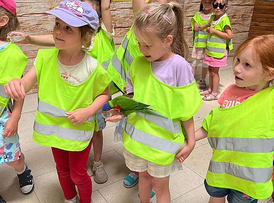 Gr. II Wycieczka- Zoo Egzotyczne -Tuchlino