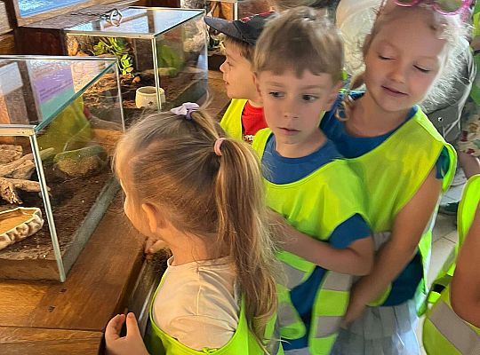 Gr. II Wycieczka- Zoo Egzotyczne -Tuchlino