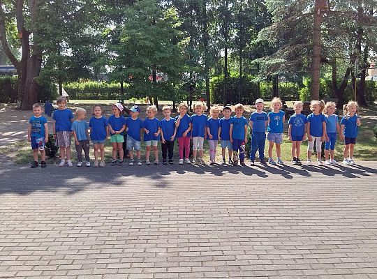 Moveweek- Podsumowanie