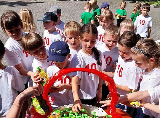 Moveweek- Podsumowanie