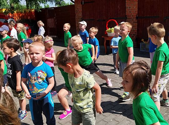 Moveweek- Podsumowanie