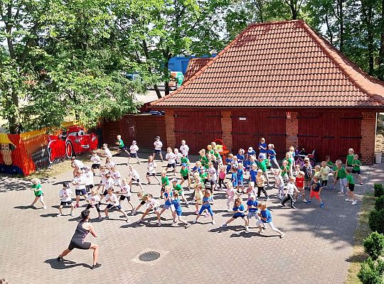 Moveweek- Podsumowanie