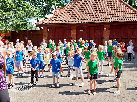 Moveweek- Podsumowanie