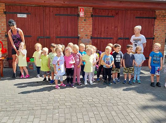 Moveweek- Podsumowanie