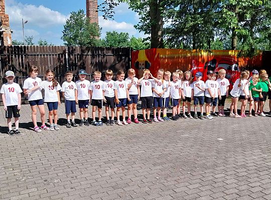 Moveweek- Podsumowanie