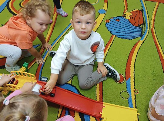 Gr. I Zasady ruchu drogowego