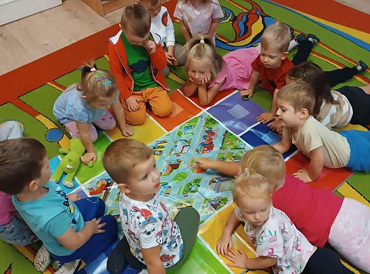 Gr. I Zasady ruchu drogowego