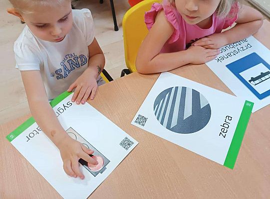 Gr. I Zasady ruchu drogowego