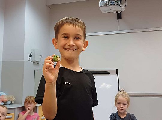 Gr. IV Jesienne dary - robimy szaszłyki owocowe