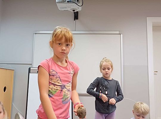 Gr. IV Jesienne dary - robimy szaszłyki owocowe