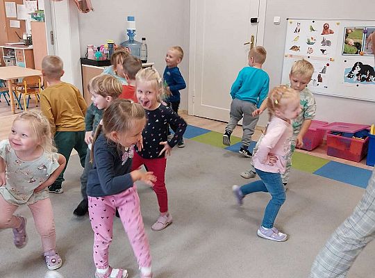 Gr. II Zabawy rytmiczno - taneczne z tatą Ali