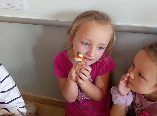 Gr.III Projekt "Przyjaciele Zippiego"