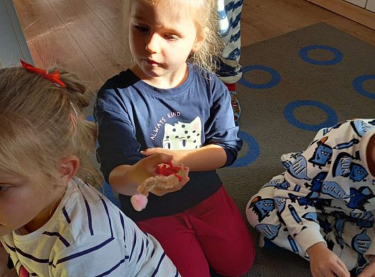 Gr.III Projekt "Przyjaciele Zippiego"