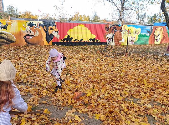 Gr. IV Jesień w naszym ogrodzie.