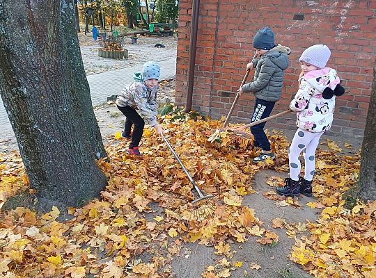 Gr. IV Jesień w naszym ogrodzie.