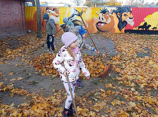 Gr. IV Jesień w naszym ogrodzie.