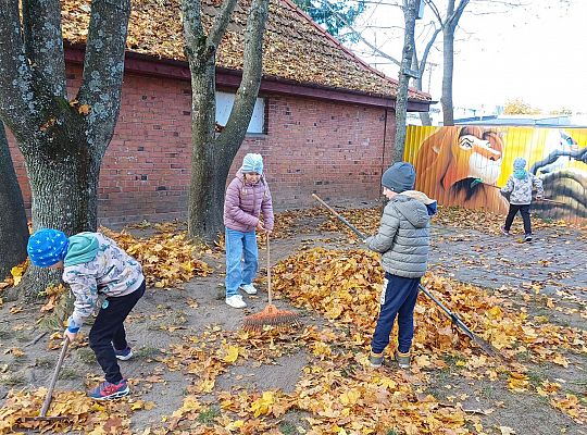 Gr. IV Jesień w naszym ogrodzie.