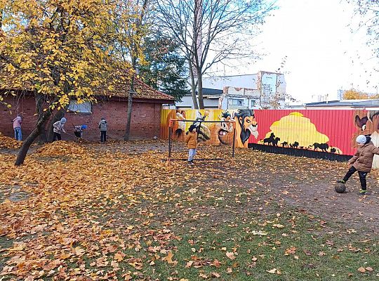 Gr. IV Jesień w naszym ogrodzie.