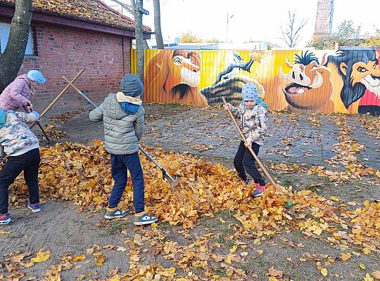 Gr. IV Jesień w naszym ogrodzie.