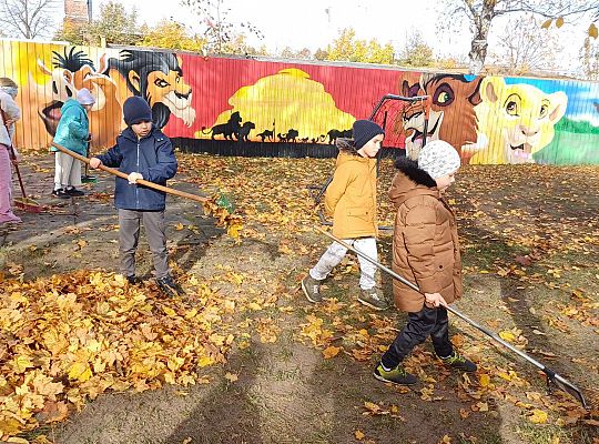 Gr. IV Jesień w naszym ogrodzie.