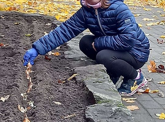 Gr. III Pola Nadziei