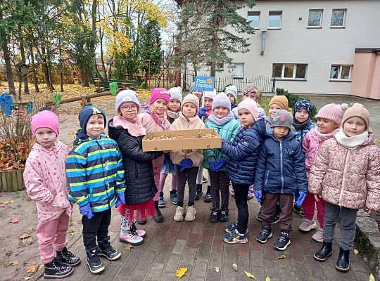 Gr. III Pola Nadziei