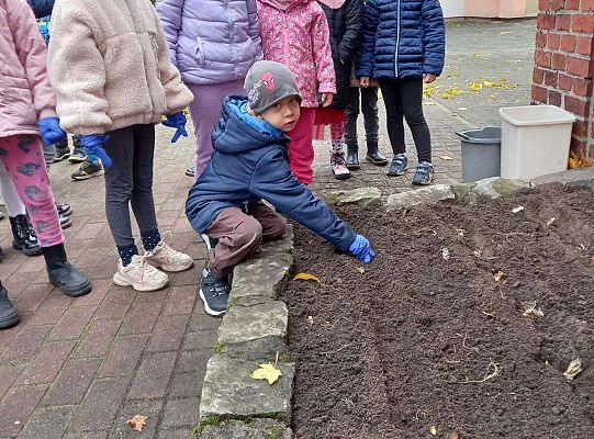 Gr. III Pola Nadziei