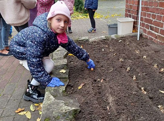 Gr. III Pola Nadziei