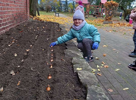 Gr. III Pola Nadziei